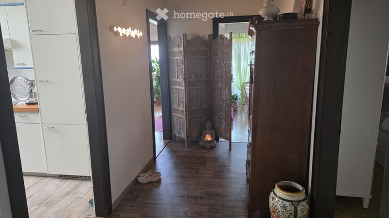 appartement Estavayer-le-Lac vue Lac (4)