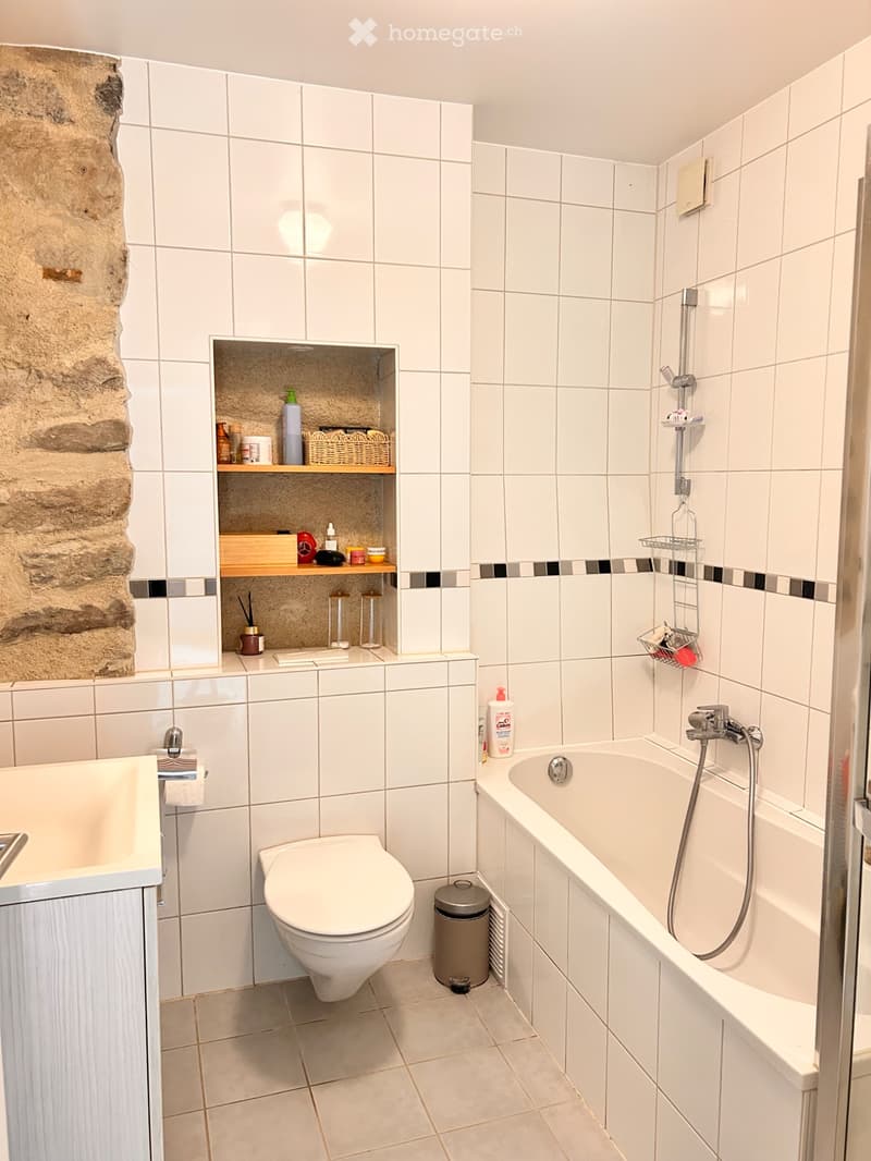 Super duplex 3.5 pièces avec terrasse couverte et cachet (2)