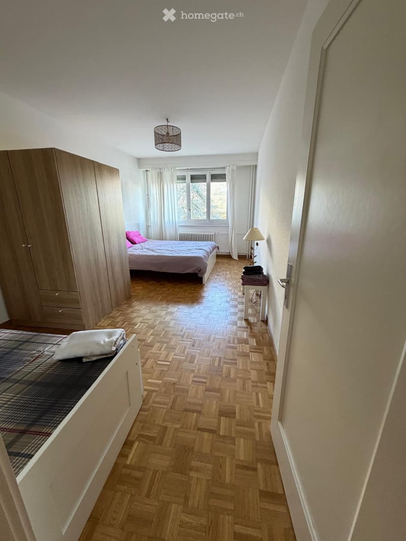 URGENT Reprise de bail 3 pièces Petit-Lancy (2)