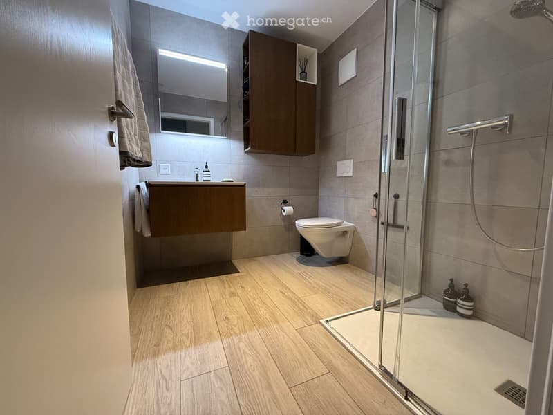 Appartement moderne de 3.5 pièces (5)