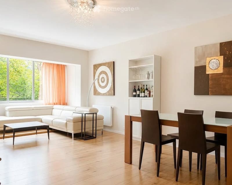 Furnished 2-room apartment for rent (3)