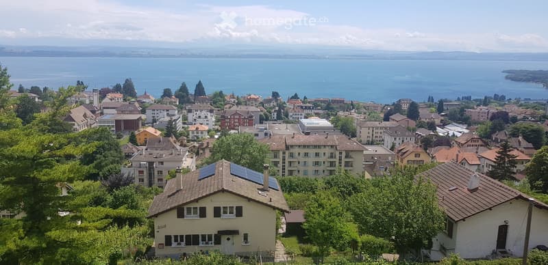 Très belle chambre calme avec vue sur le lac et les alpes (1)