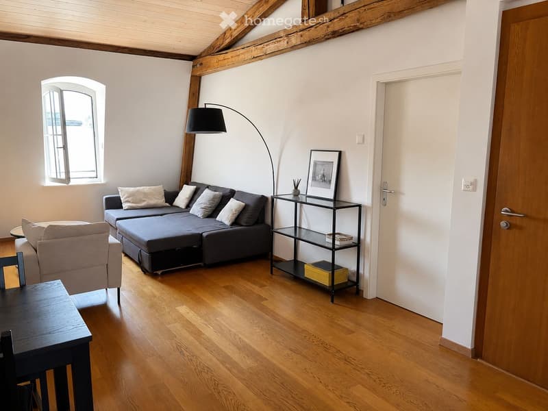 Appartement 3 pièces 55 m² centre de Genève (1)