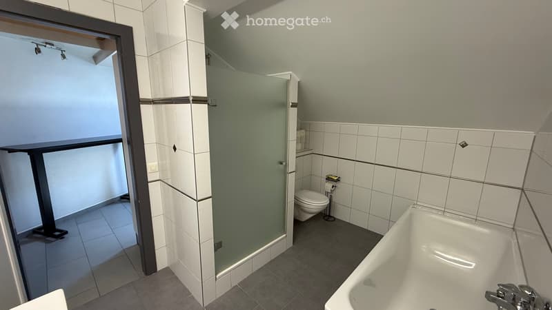 Sous-location indépendante 2 pièces 65m2 (5)