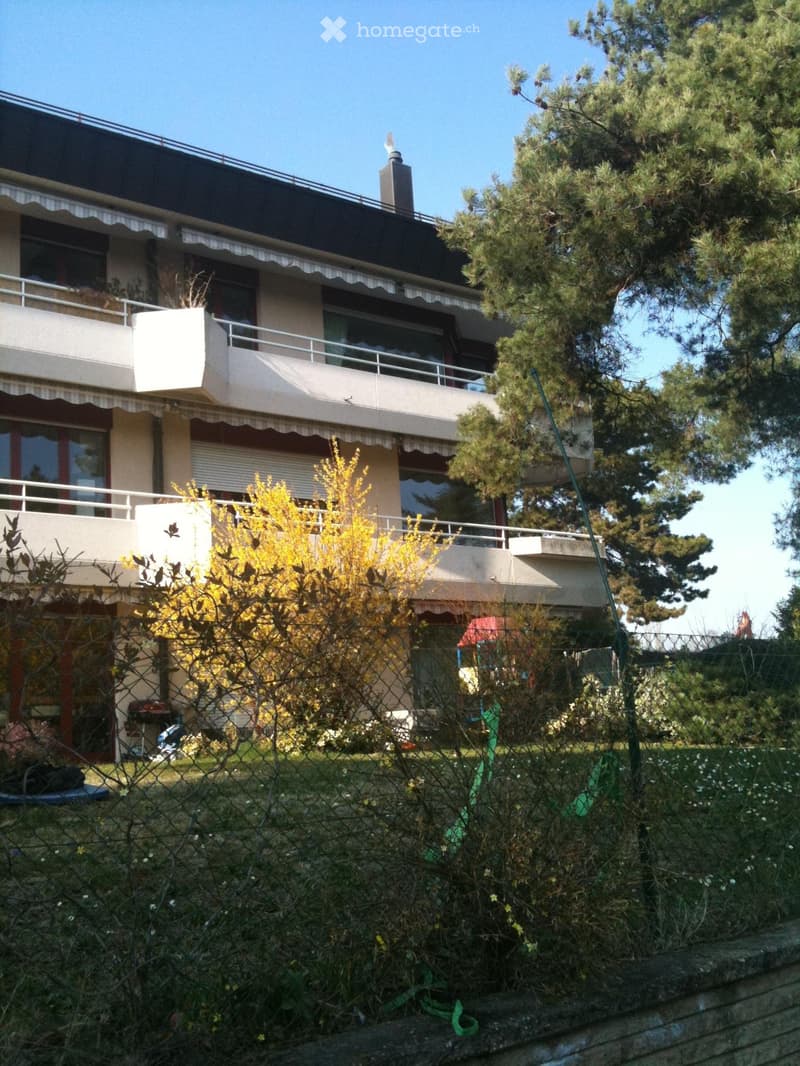 Appartement à louer à St Sulpice (1)