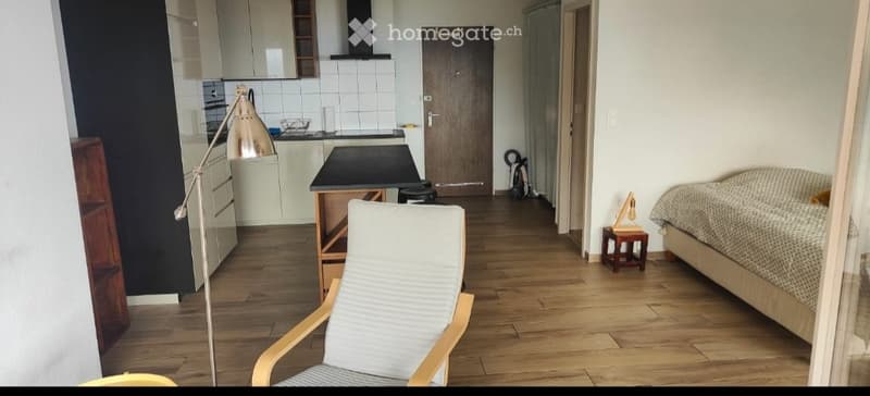 Magnifique studio avec vue panoramique sur toute la Riviera (4)