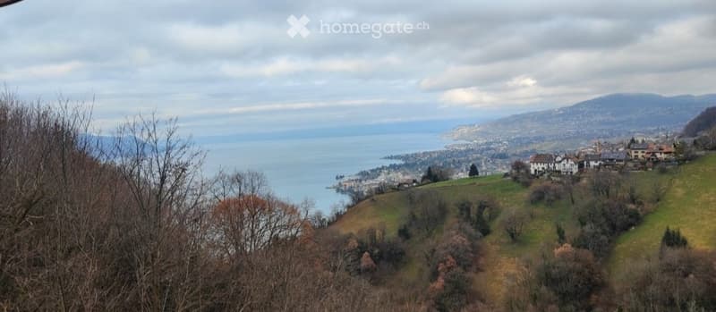 Magnifique studio avec vue panoramique sur toute la Riviera (2)