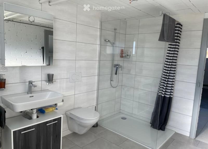 Maison spacieuse 4.5 pièces avec grand jardin clos (4)