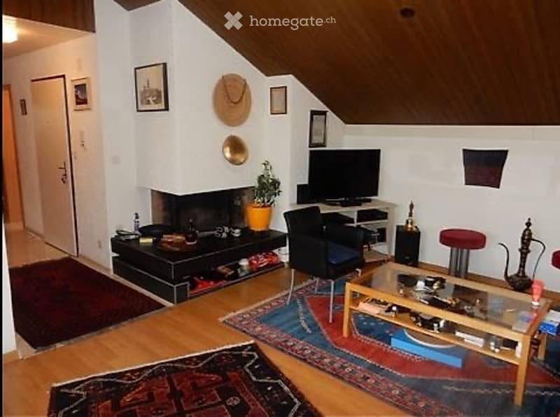Ganz geräumige Wohnung mit viele Lagerungsmöglichkeiten (1)