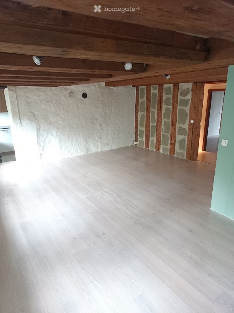 À louer Appartement 5 pcs avec jardin au coeur de Fribourg (1)