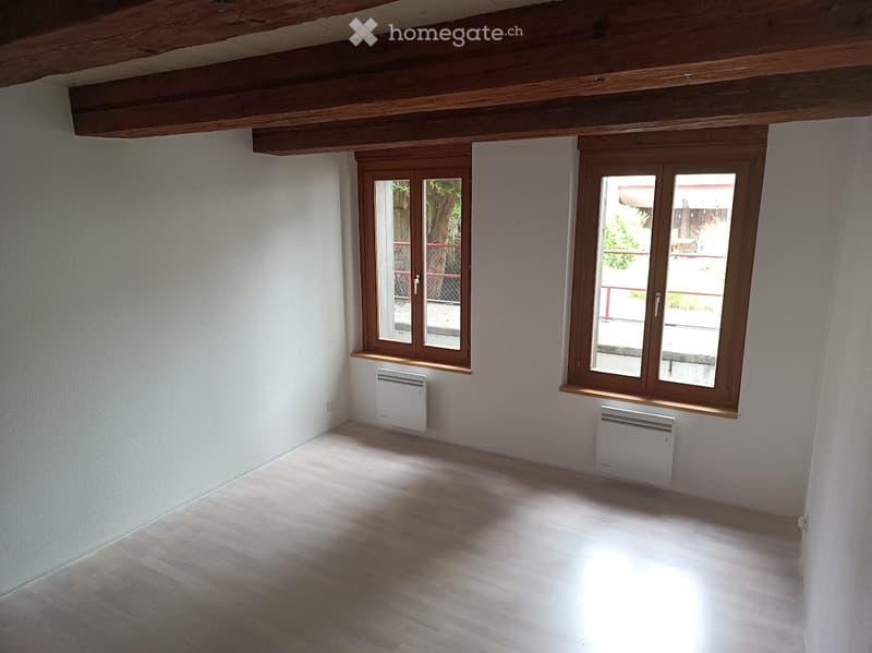 À louer Appartement 5 pcs avec jardin au coeur de Fribourg (3)