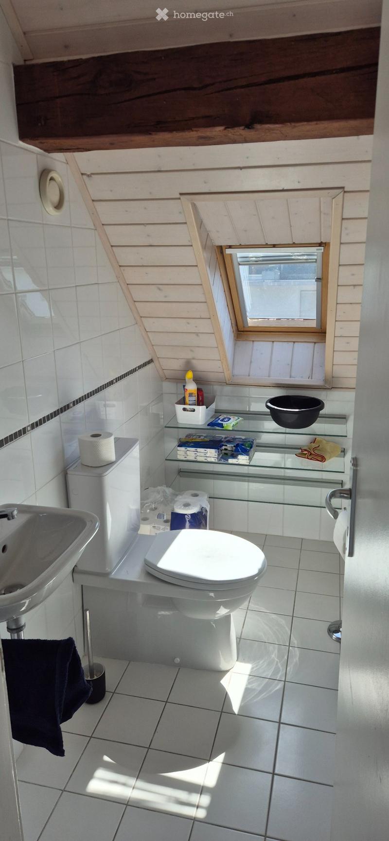 Appartement Bussigny 3,5 pcs (4)