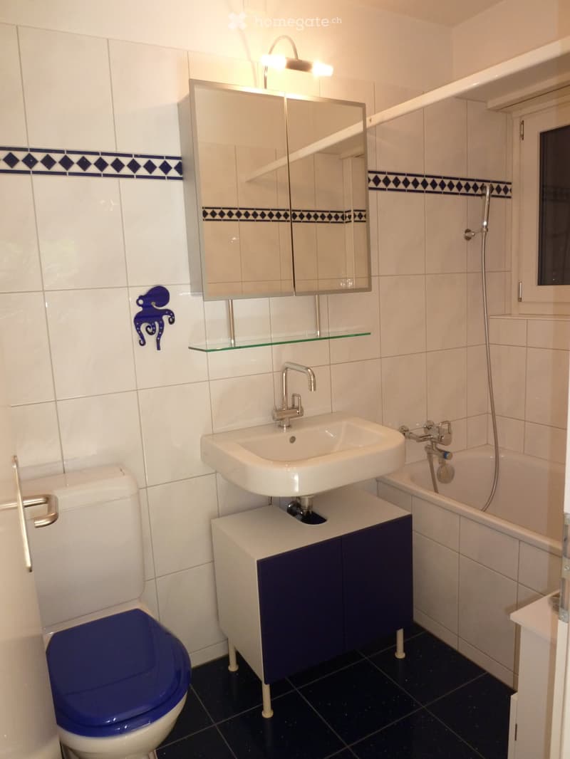 Ruhige 1,5 Zimmer Studio-Wohnung im Grünen, Muri b. Bern (3)