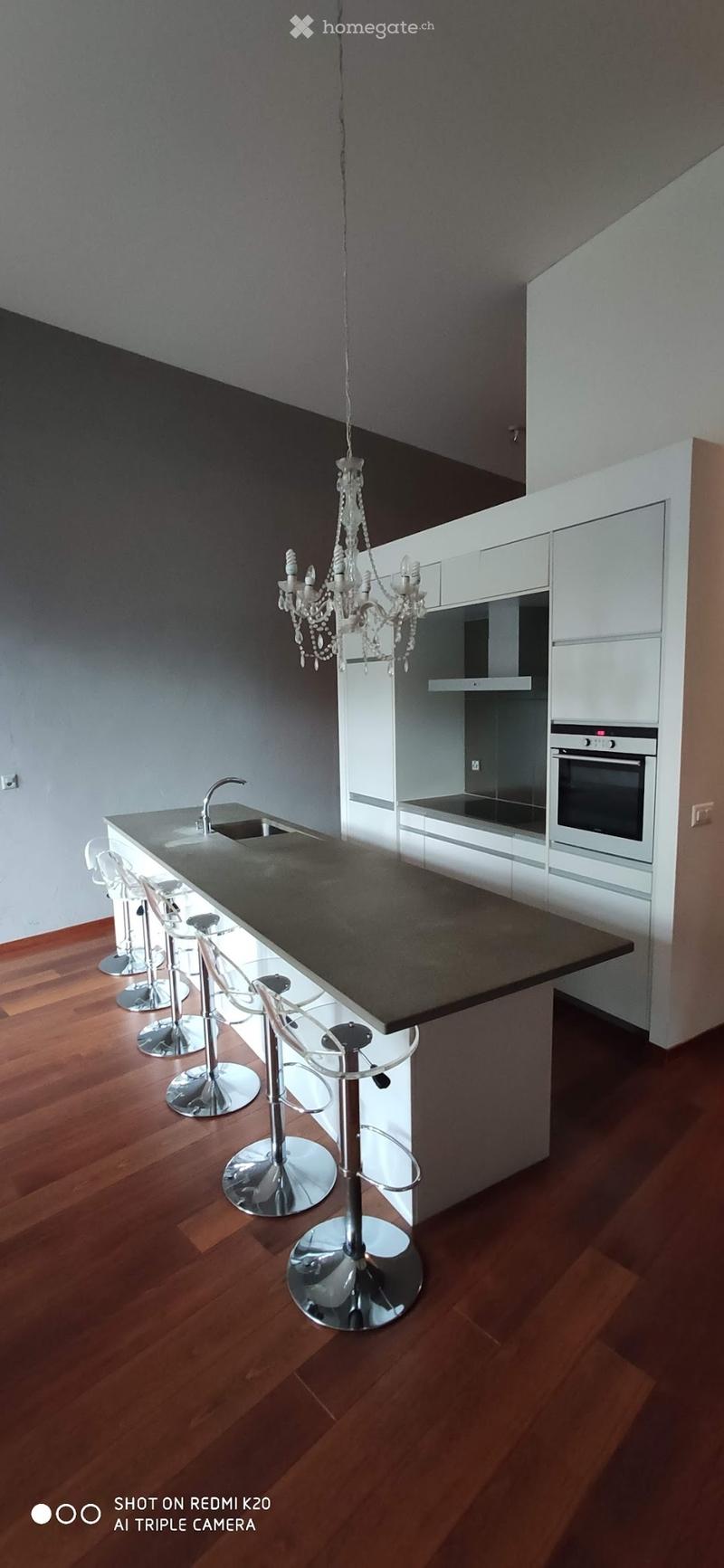 Magnifique Loft au centre de Lausanne (1)