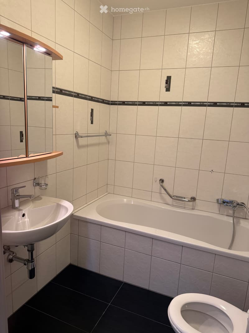Appartement 4,5 pces en location (4)