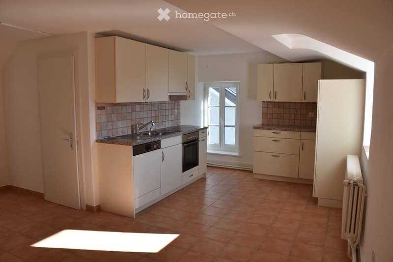 Grand 3,5 pièces de 135 m2 avec jardin (4)