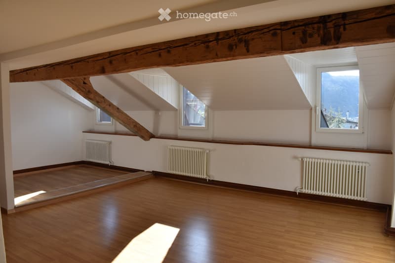 Grand 3,5 pièces de 135 m2 avec jardin (2)