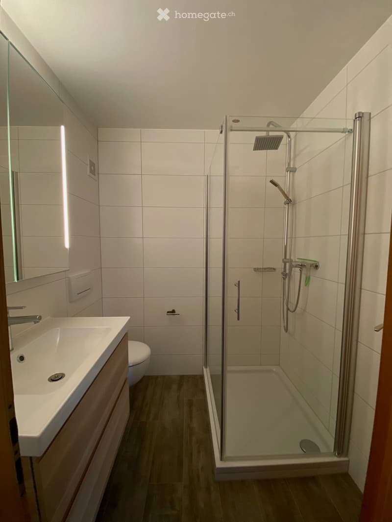 Appartement de 3,5 p au côty (5)