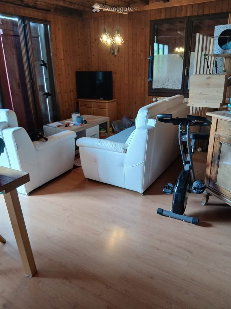 Appartement- Loye (3)