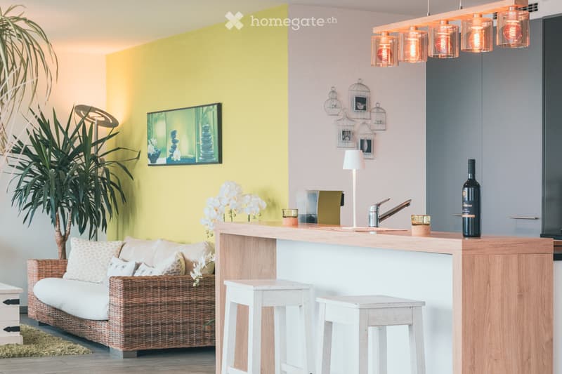 MAGNIFIQUE APPARTEMENT AVEC VUE EGLISE ET VILLAGE D'ARBAZ (3)