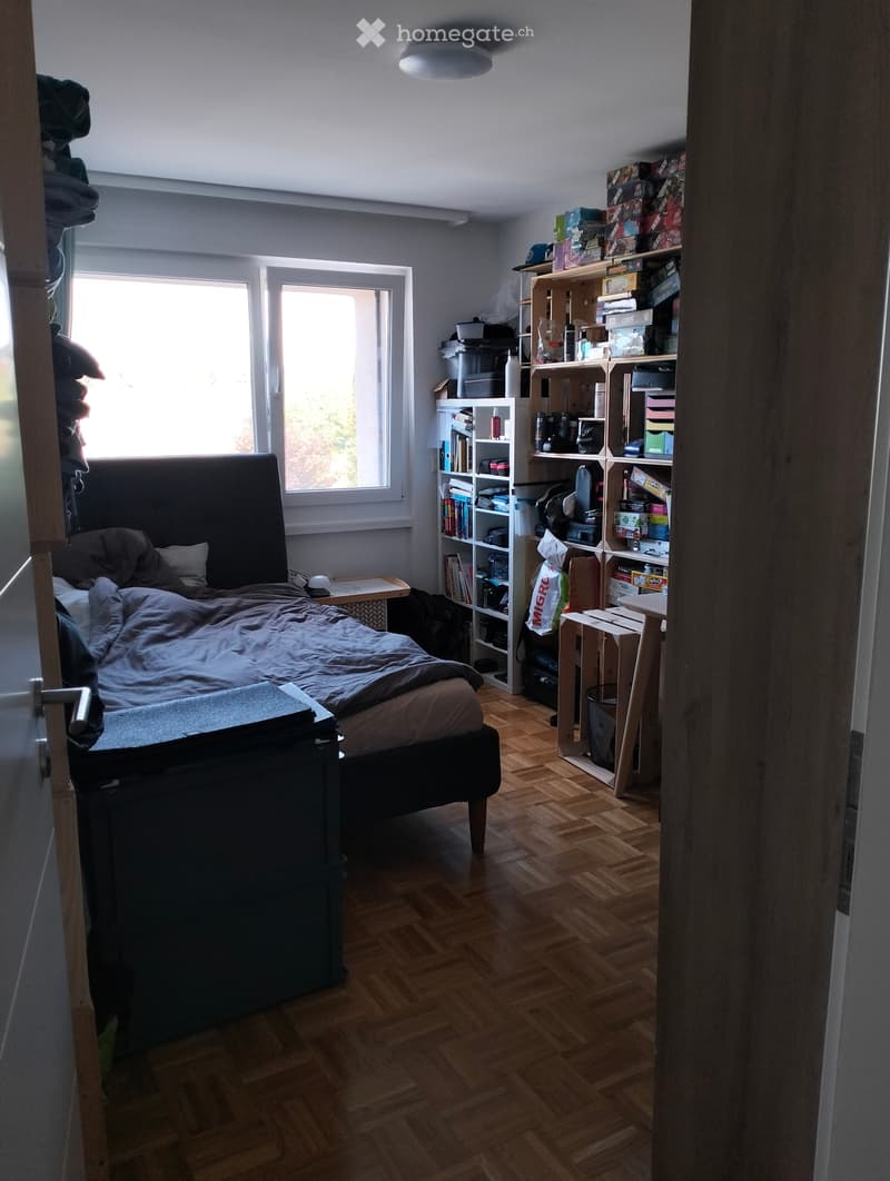 Appartement Estavayer-le-lac 3,5 pièces (13)