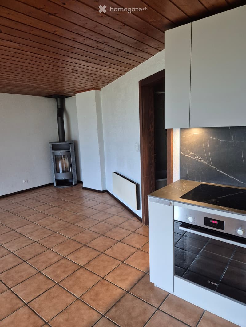 Appartement 2 pièces a Chemin Dessus (3)