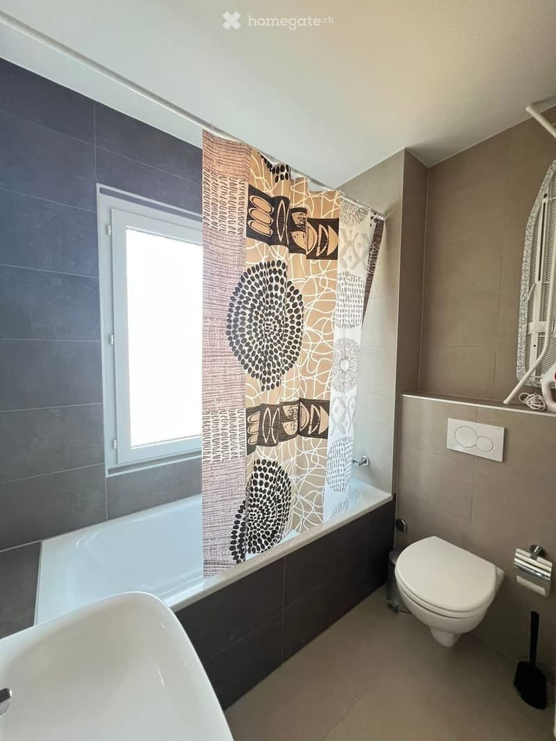 1 Pièce  meublée   Zurich 8006 (2)