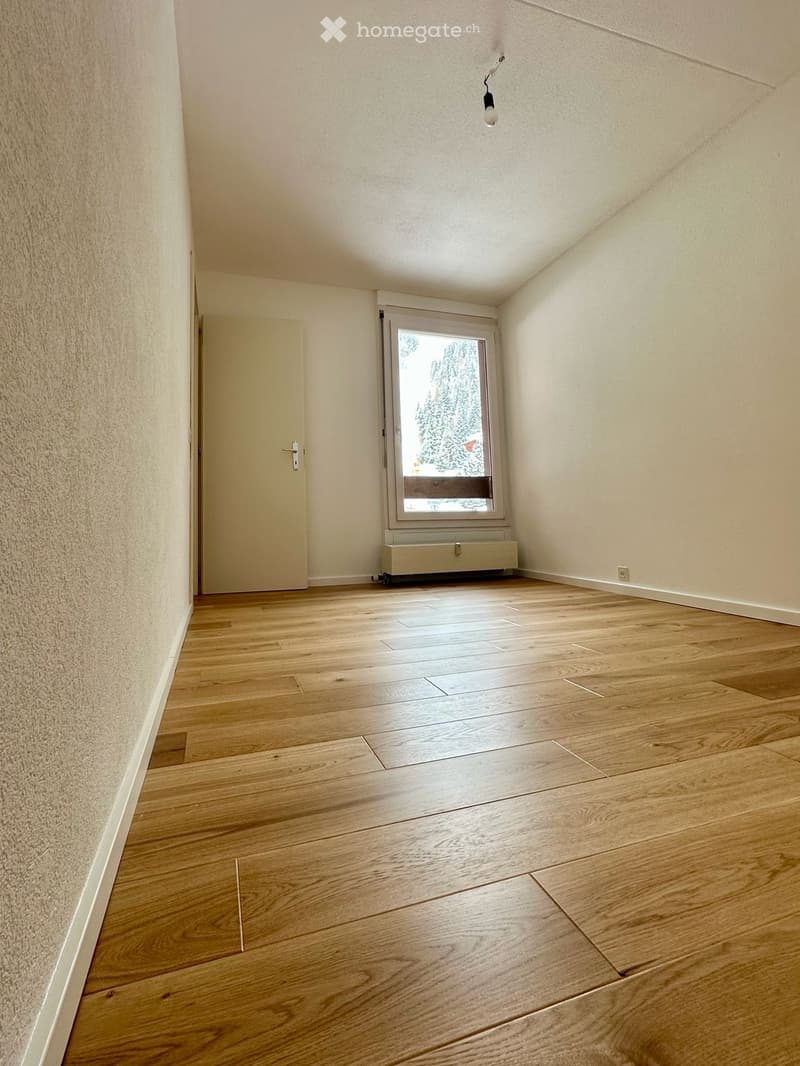Anzère VS appartement à louer (5)