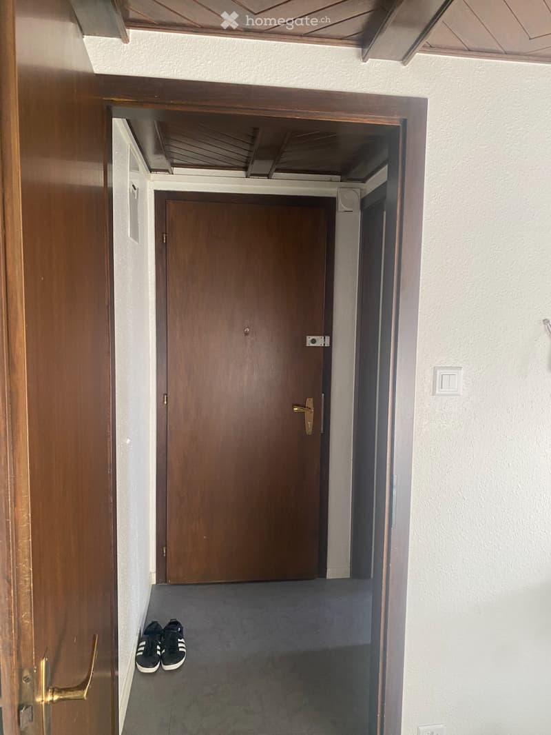 Appartement 1 pièce spacieux et très confortable (5)