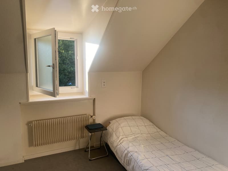 Appartement 1 pièce spacieux et très confortable (3)