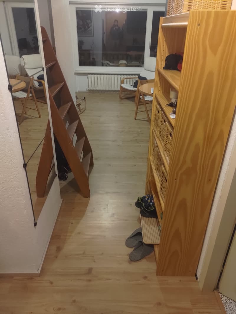 Magnifique appartement ensoleillé (3)