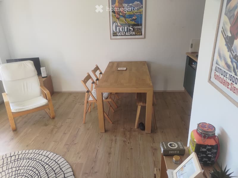 Magnifique appartement ensoleillé (4)