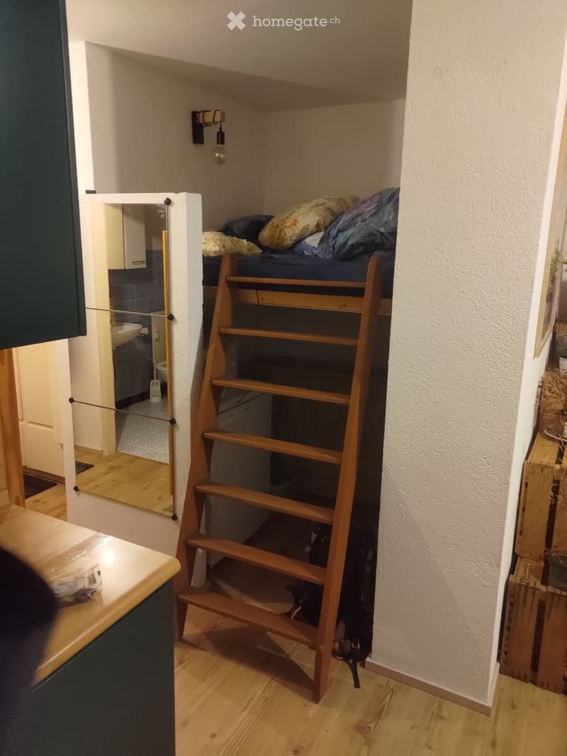 Magnifique appartement ensoleillé (2)