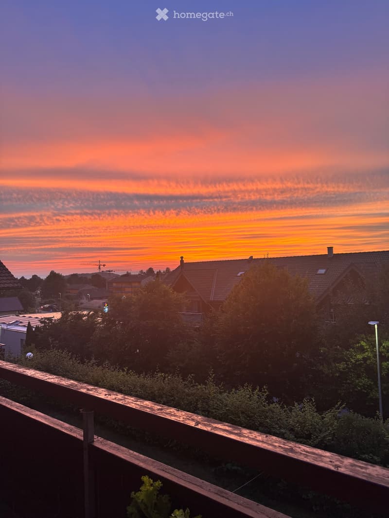 Haushälfte (5)
