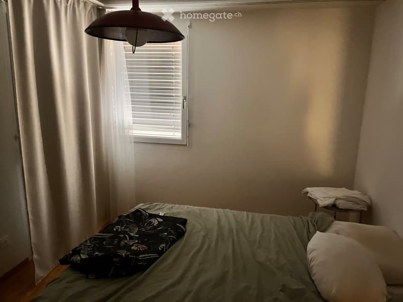 Appartement avec jardin à Neuchâtel (4)