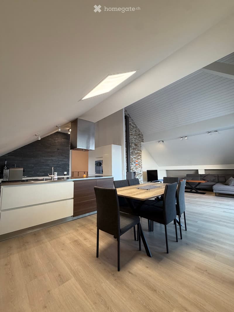 Loft / Penthouse 4.5 pièces avec ascenseur privatif (3)