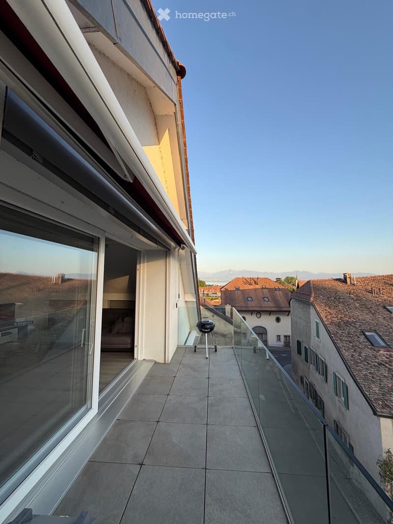 Loft / Penthouse 4.5 pièces avec ascenseur privatif (2)