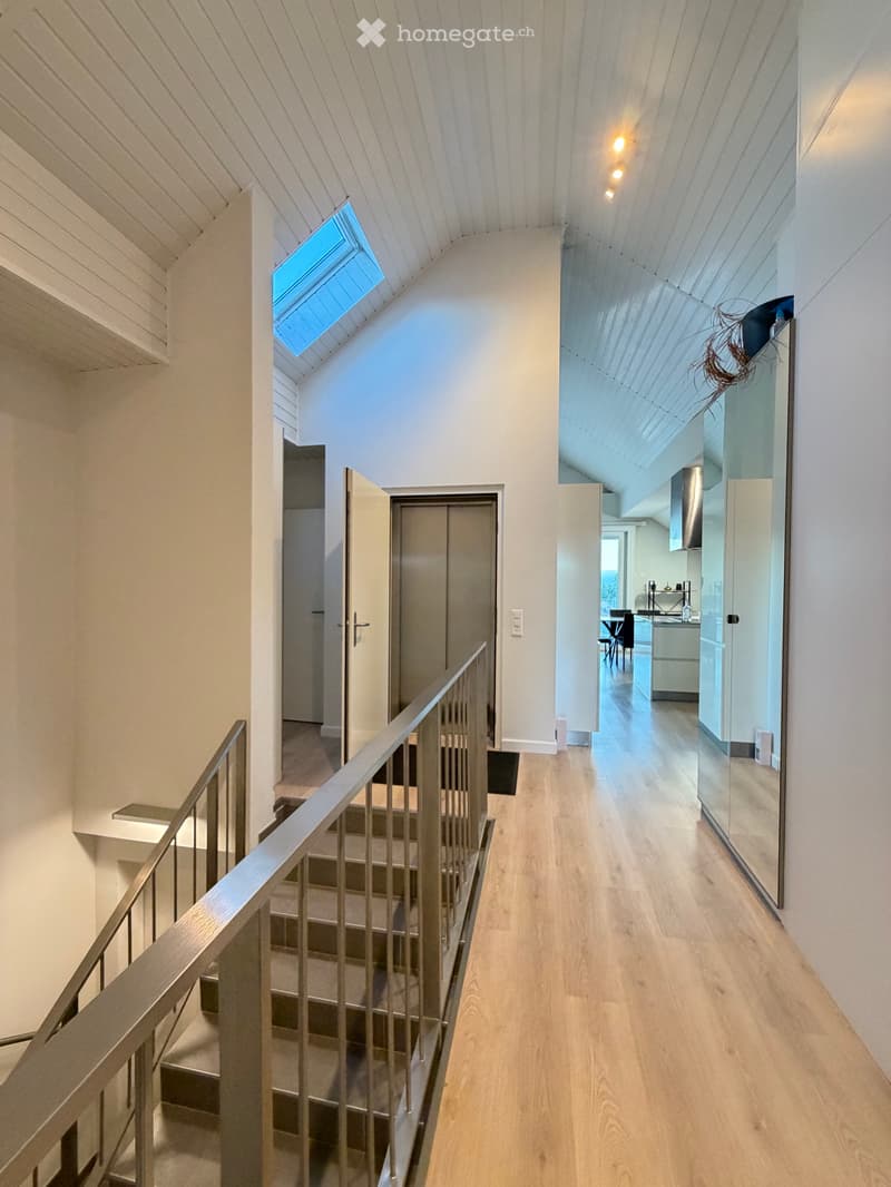 Loft / Penthouse 4.5 pièces avec ascenseur privatif (1)