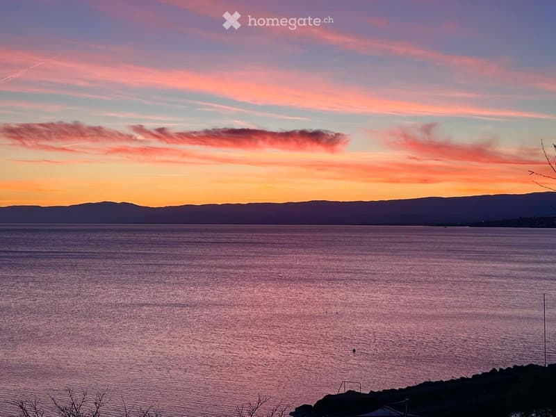 À louer Appartement d'exception au bord du lac Léman (1)