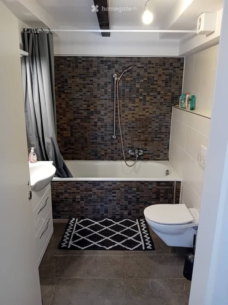 Colocation maison avec belle vue à Troistorrents (5)