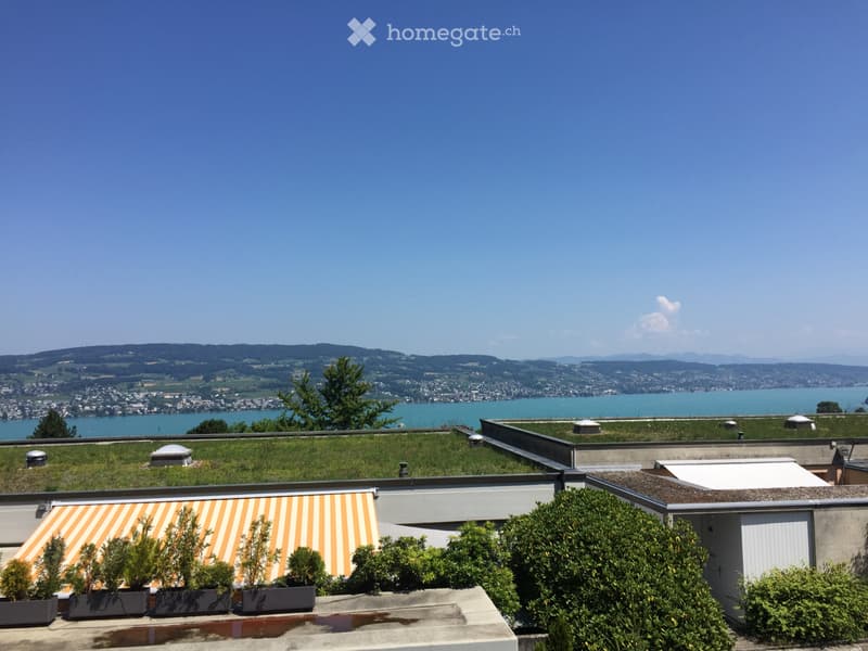 Seesicht - 6 1/2 Terrassen-Eckhaus in Horgen (ZH) (2)