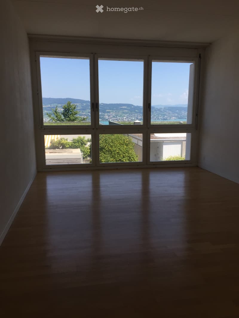 Seesicht - 6 1/2 Terrassen-Eckhaus in Horgen (ZH) (3)