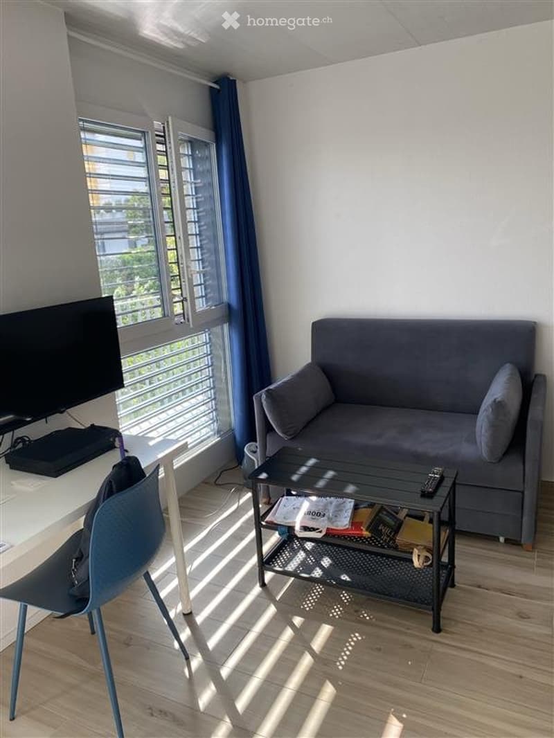 Charmant petit studio meublé Quartier calme de Neuchâtel (4)
