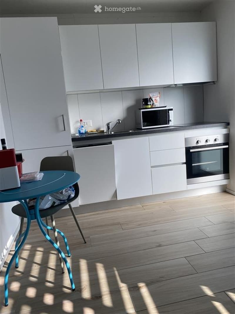 Charmant petit studio meublé Quartier calme de Neuchâtel (2)
