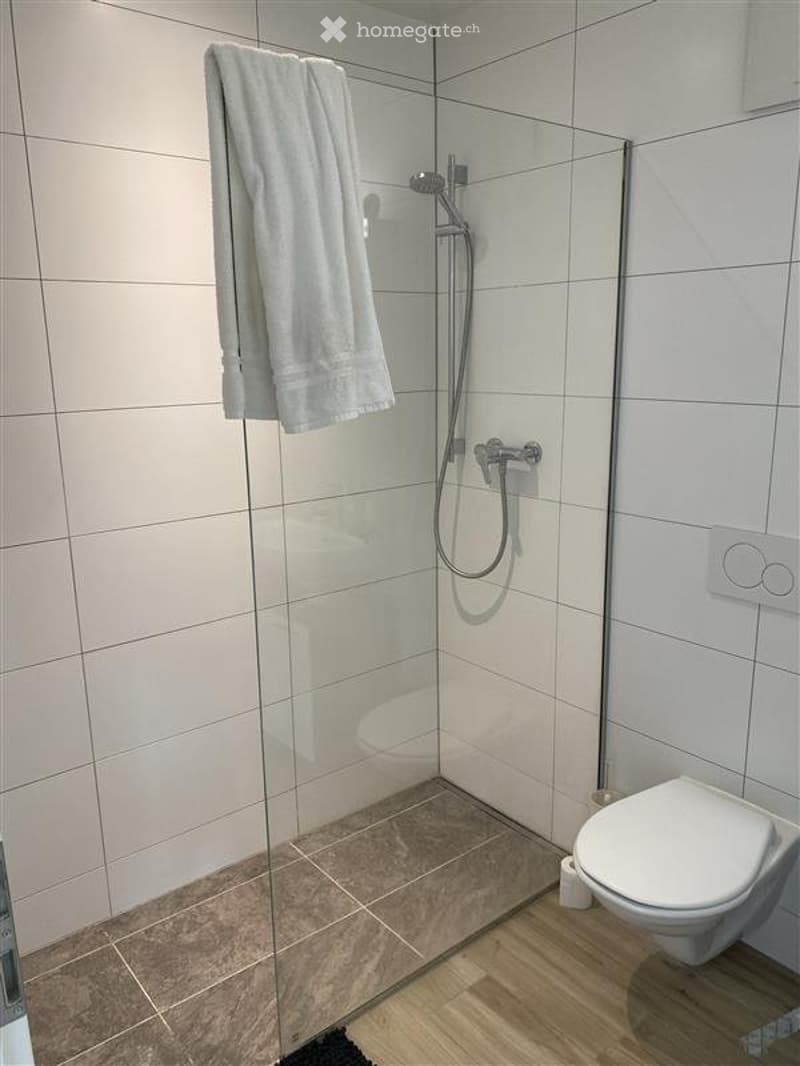 Charmant petit studio meublé Quartier calme de Neuchâtel (3)