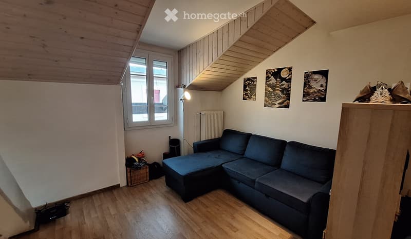 Location appartement 2,5pièces idéalement situé Plainpalais (4)