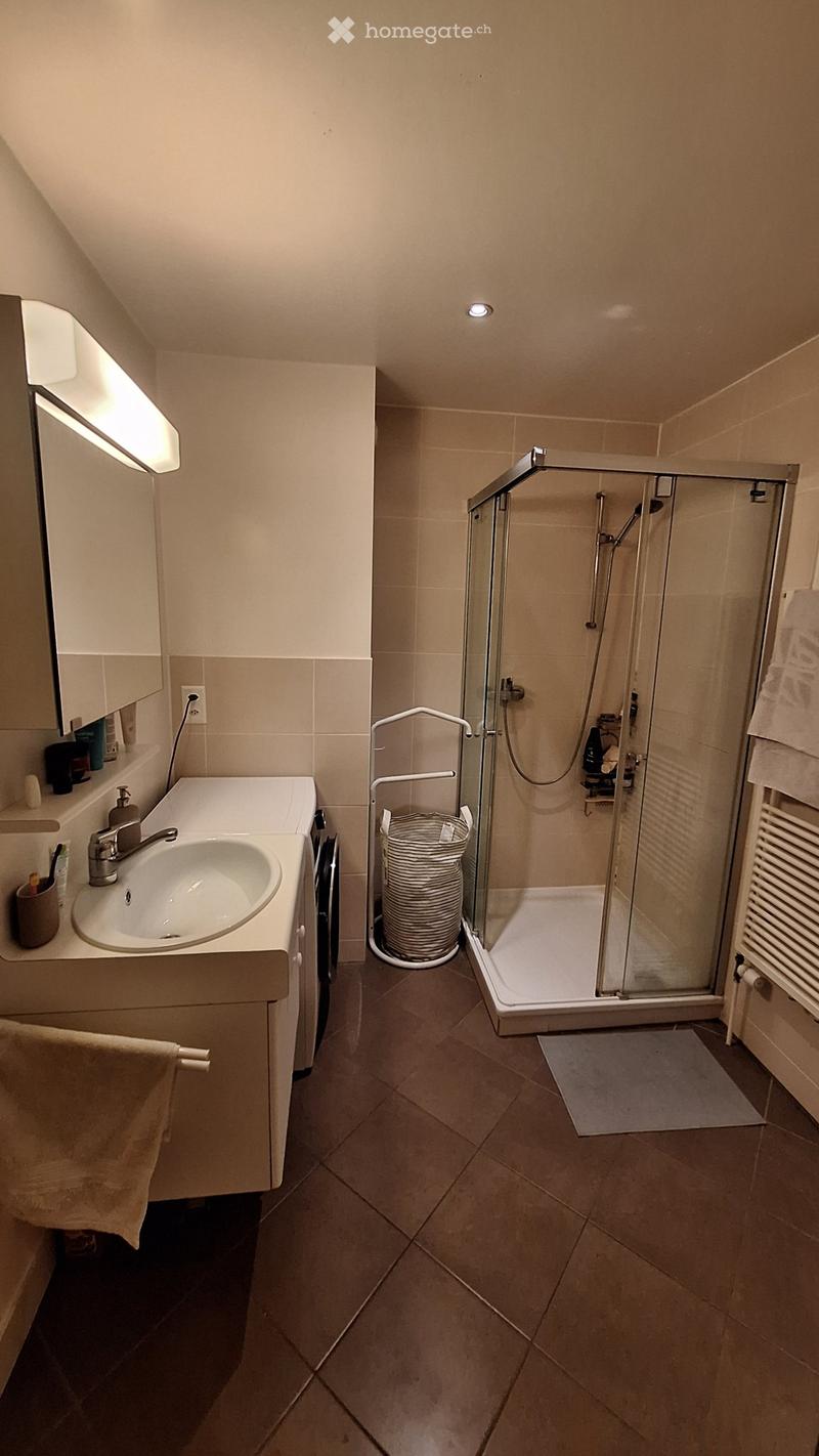 Location appartement 2,5pièces idéalement situé Plainpalais (3)