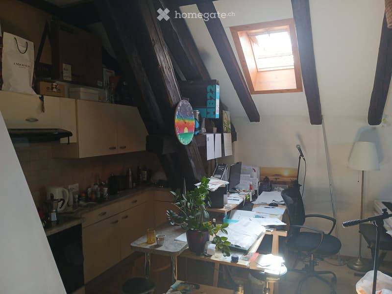 Appartement Forel (2)