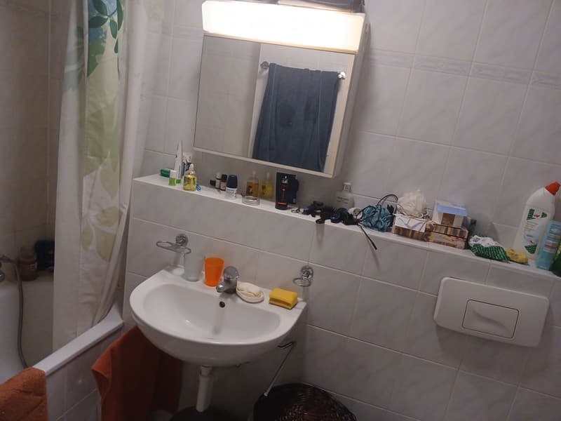 Appartement Forel (4)