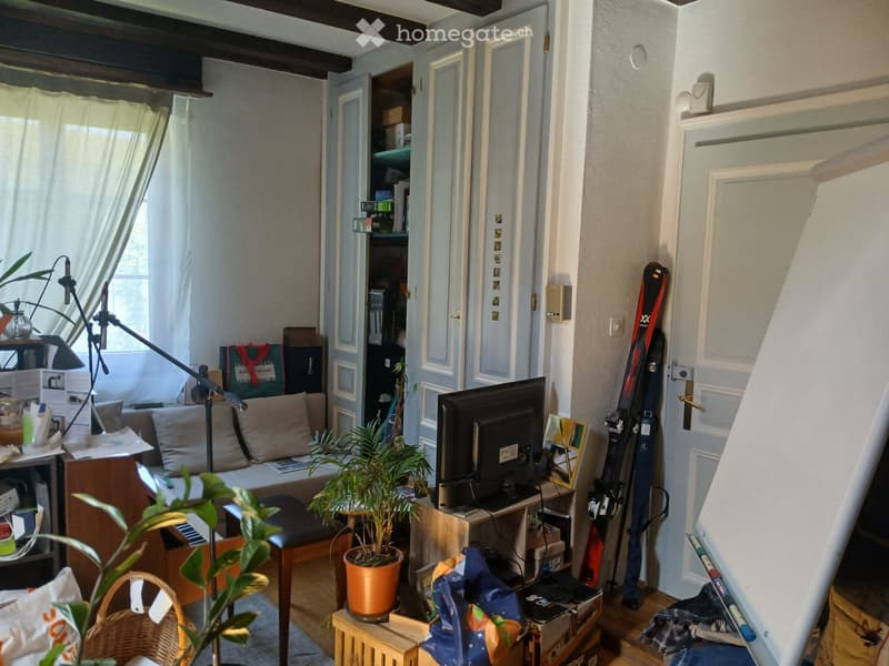 Appartement Forel (3)